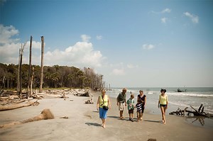 Barrier Island Eco-Tours | Charleston area | Charleston.com