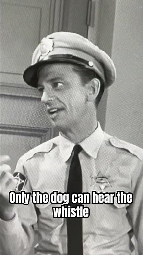 The Andy Griffith Show: Barney tells Andy that the dog is a bloodhound and a good tracker