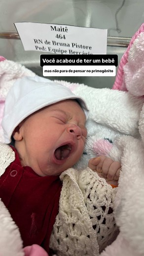 Meu primogênito em casa 🥹 mas logo estaremos todos juntos e a bagunça será grande, né? #maternidade #gestante #greatdane #doguealemao #dogsandbabies #familia #maternidadereal #ninhodepremios #rededeapoiomaterno #maedeprimeiraviagem #dogsbrothers