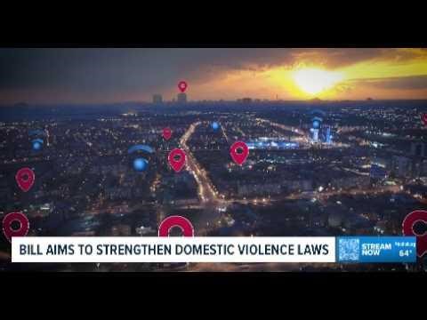 Bill aims to reform domestic violence laws in Florida | Debra Tendrich