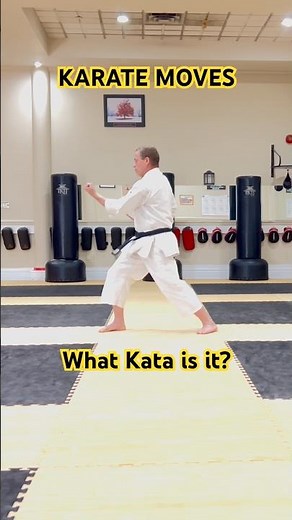 What Kata is it? #karatedo