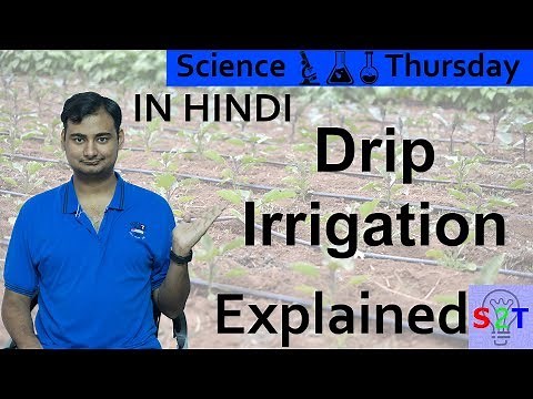 Drip irrigation Explained in HINDI {Science Thursday}