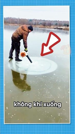 Why do we need to pump air under the ice? 😲