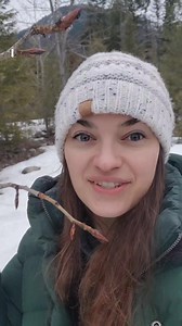 There are recipes and remedies (and clues on how to use them) right outside your door ! #plants #herbalism #herblovers #doctrineofsignatures #Apothecarymary | Apothecary Mary