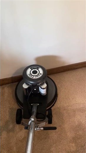 Making cat pee disappear, one more time. The power of Citrusolution.