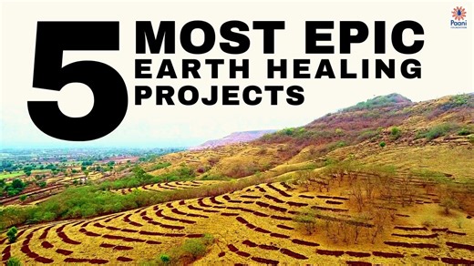 5 most epic earth healing projects!