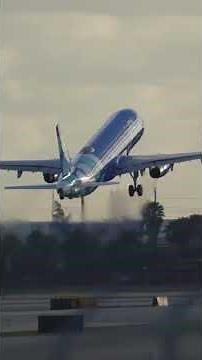 JetBlue Flights Suddenly Grounded in the U.S. | FAA Issues Emergency Ground Stop