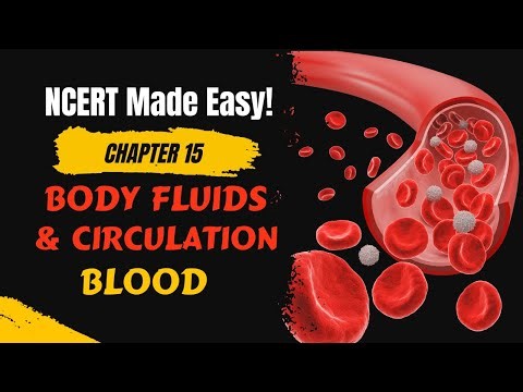 Body Fluid and Circulation | Part 01 | Comosition of Blood | NEET | NCERT Line by Line Explanation