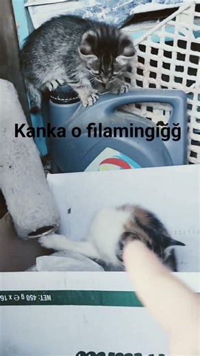 #keşfetmiş #keşfet #keşfetaçıl #tiktok abonr ol