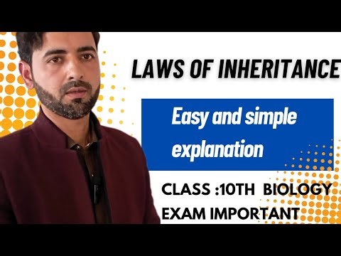 Mendel’s Laws of Inheritance | Law of Segregation & Independent Assortment | Class 10 Biology