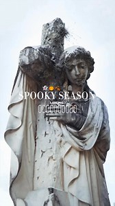 24K views · 217 reactions | ✨ Spooky season has arrived at Sisters...