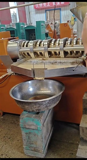 Oil Extraction Machine | Traditional Hand Press vs High Efficiency Output