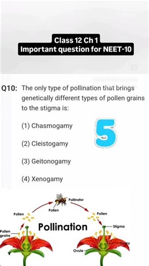 class 12 biology chapter 1 Sexual Reproduction in Flowering Plants question | Neet practice question