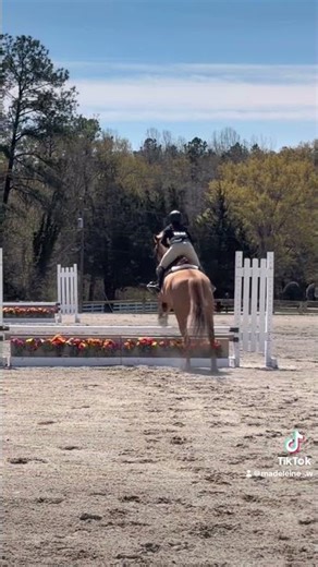 awesome first show with Jupiter! got 6th in one course and 3rd in my eq course!! #horsebackriding