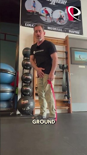 Understanding the Calf Muscle: How Joint Interactions Impact Exercise and Rehab