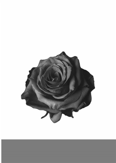 bunni bunni bunni bunni. Bunni bunni bunni bunni bunni bunni bunni bunni bunni bunni bunni bunni. Bunni bunni bunni bunni bunni bunni bunni bunni bunni bunni bunni bunni. Bunni bunni bunni bunni bunni bunni bunni bunni bunni bunni bunni bunni. Bunni bunni bunni bunni bunni bunni bunni bunni bunni bunni bunni bunni. Bunni bunni bunni bunni bunni bunni bunni bunni bunni bunni bunni bunni. Bunni bunni bunni bunni bunni bunni bunni bunni bunni bunni bunni bunni. Bunni bunni bunni bunni bunni bunni b