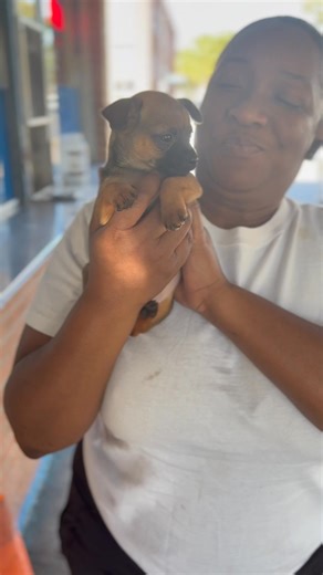 2.8K views · 26 reactions | Shout out to the last winner Mandy Lj. This dog’s name name starts with a B as well. Don’t over think it. | DeWayne Jenkins | Facebook