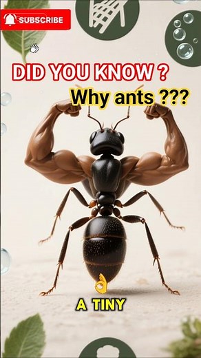 🐜 Amazing Ant Facts You Didn’t Know! | Mind-Blowing Ant Secrets #truedialogue