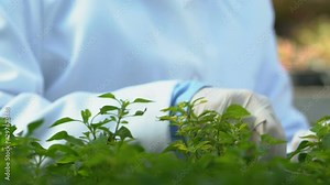 Female biologist checking soil moisture meter writing notes clipboard, research