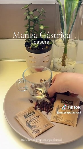 Cómo hacer una Manga Gastrica Casera: Guía Completa