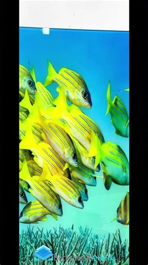 Vibrant Ocean Glass Kitchen Backsplash – Yellow Fish & Coral Reef