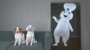 Dogs pranked by dancing doughboy giant cupcake & donut fun