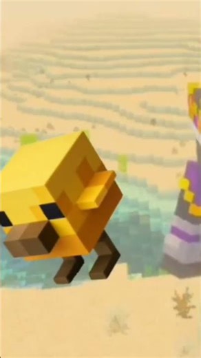 les ajouts de Minecraft #short #humour #minecraft