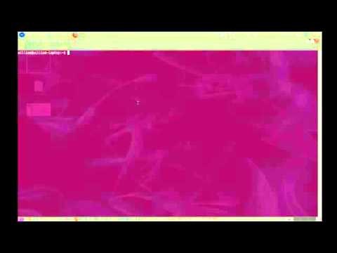 [Linux Tutorial 1]How to install .bin files