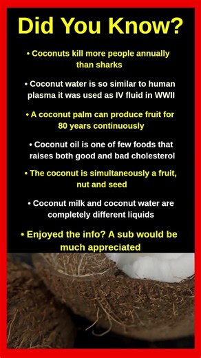Shocking Facts About Coconuts That Will Blow Your Mind 🥥😱
