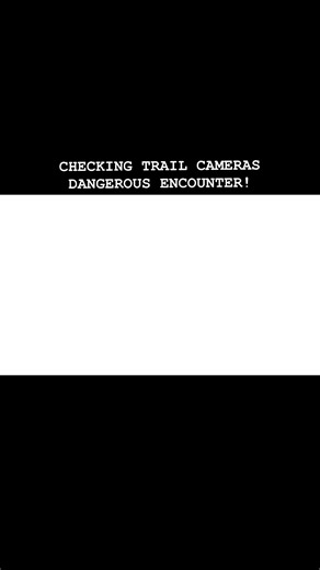 Trail Cameras with a side of RATTLESNAKES! 🐍 | Tails and Scales