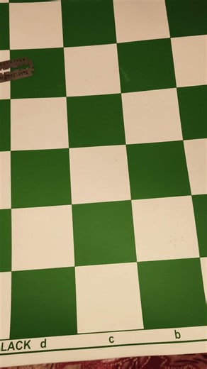 Chess With Razor Blade || Chess Mat