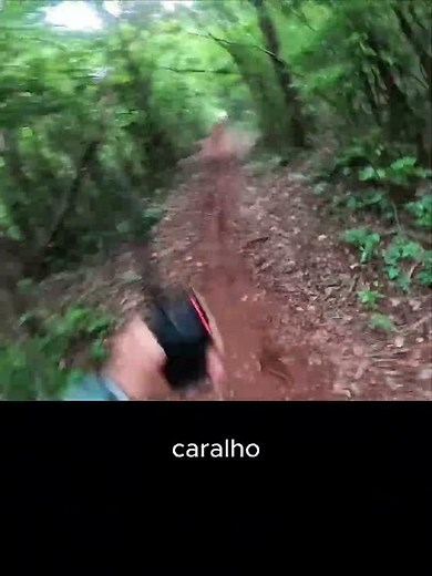 creature ran after the YouTube penguin ld