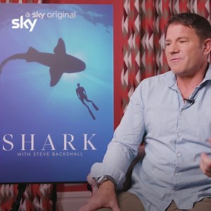 Steve Backshall talks hypnotising Tiger sharks, Finding Nemo and why Jaws gave sharks such a bad rep. Full video 👉 https://youtu.be/uWWBpcsKBcs Shark with Steve Backshall. Tomorrow. Sky Nature. | Sky TV