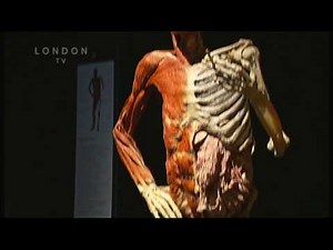 BODYWORLDS AT THE o2
