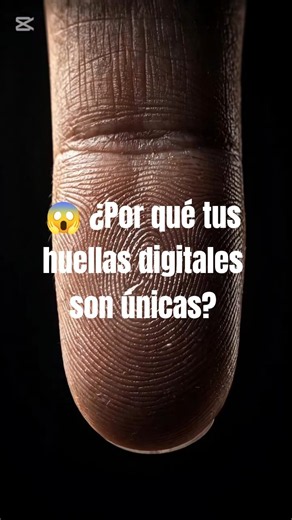 🤯 El increíble secreto de tus huellas digitales