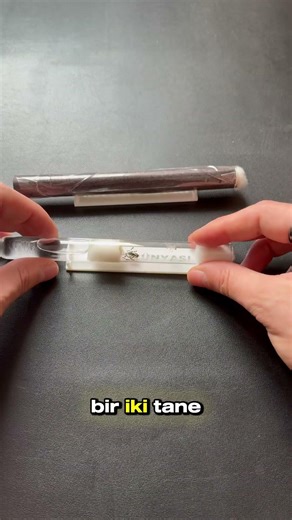 Kış Uykusu Bitti! 🥶🐜 Perplexus & Lasius Uyandı!