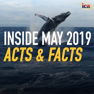 1.2K views · 48 reactions | How can you help friends recognize the solid science that confirms creation? What discoveries from biological research support the Bible? How will the ICR Discovery Center showcase geological research? And how does biblical creation help us glorify God? Discover the answers to these questions and more in the May 2019 issue of Acts & Facts: https://www.icr.org/article/inside-may-2019-acts-facts/ | Institute for Creation Research (ICR) | Facebook