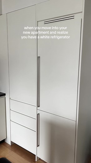 Nene Leakes' White Refrigerator in New NYC Apartment