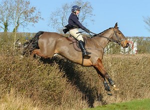 6 working hunter types for sale this week - Horse & Hound