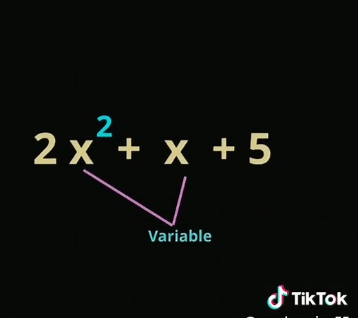 Understanding Polynomials in Mathematics