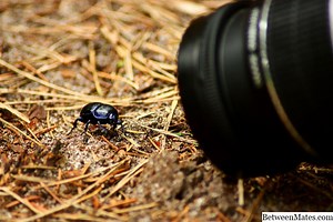 Micro y macro - CIENCIA 2026