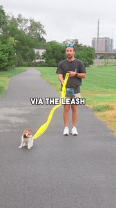 Teach your dog leash pressure TODAY! You’ll thank me later :) - Do you want the best slip lead? I spent months developing the perfect slip lead, including a spring loaded stopper and pure braided nylon that does not stretch. Purchase your NCA Slip Lead today with the link in my bio. Due to high demand, we are usually backordered several weeks, so order yours today! - #dogtrainer #obedience #dogobedience #leashreactivity #leashaggression #reactivedog #leashreactivity #dogtraining #bestdogtrainer 