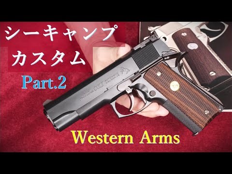 シーキャンプ・カスタム 再試射 / ウェスタンアームズ：ブルズアイターゲットへの試射結果（家族）ほか