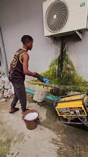 Tilescleaner Bedbugs reppel (@jettyroyal)’s videos with original sound - Tilescleaner Bedbugs reppel