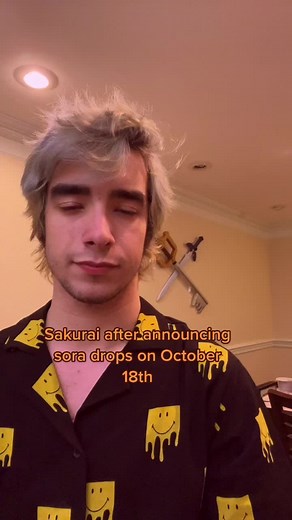 Sora's Debut in Super Smash Bros Ultimate Celebration