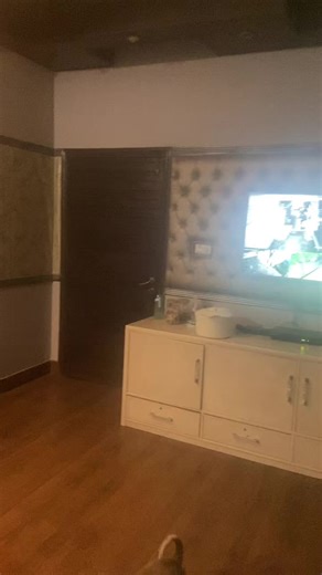 Dank Barney (@dankbarney0)’s videos with Your dogs favorite - Kaylee Russell