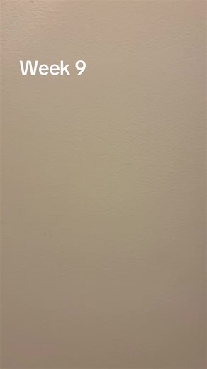 Puppy Milestones: Tracking Your Dog's Growth Journey