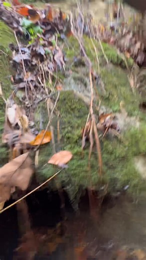 133K views · 1.3K reactions | It’s a cave! We decided we’d come back once it warmed up a little outside. I think summer might be the perfect time to explore this! #caving | Adventuring Light | Facebook