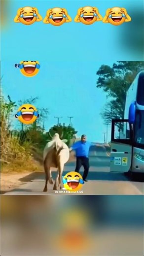 Epic Fails That Will Make You Laugh 😂🔥