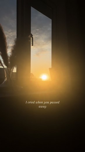 I cried when you passed away, I still cry today 🤍🕊️ #grief #griefjourney #quotes #lifeafterloss #grieftok #inspiration #quotesaesthetic #quotesoftheday